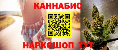 индика Нягань